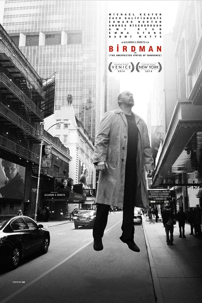 鸟人/飞鸟侠(港) / 无知的意外之美 / Birdman (2014)