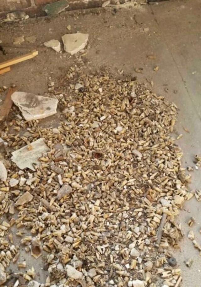 诡异的历史瞬间，这些历史照片你看过么？