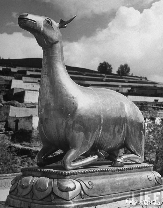 1947年7月青海塔尔寺 9岁的十世班禅及寺内实拍照片集