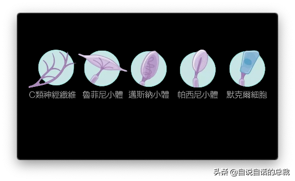 最诡异的器官-皮肤，我们都被这个器官封装在超能力机甲当中