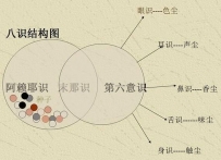 南师唯识：心似根 意如干 识像花
